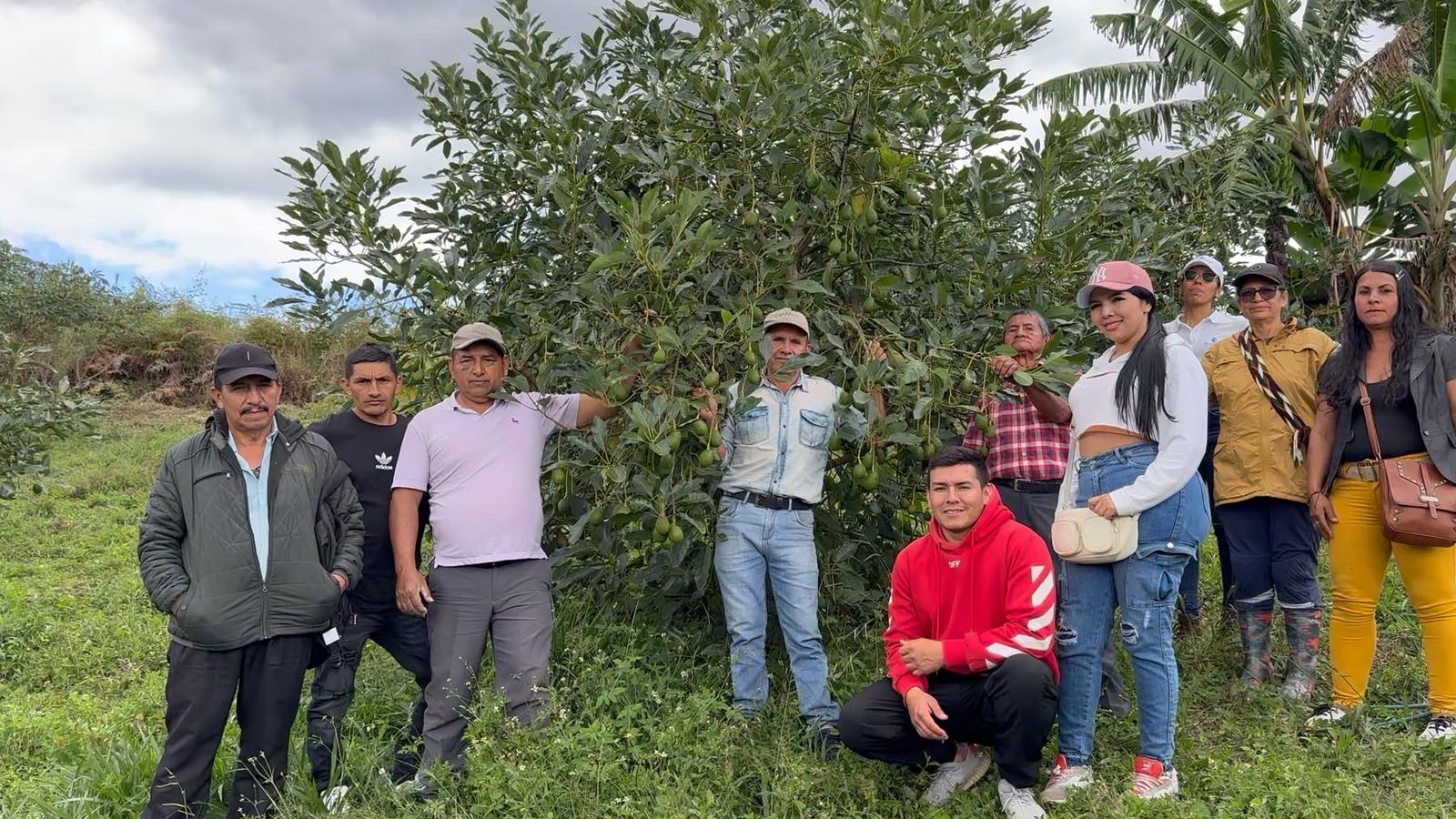 Imagen representativa de Desarrollo Agroindustrial