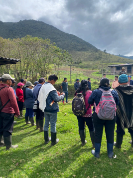 Impacto social en el campo caucano